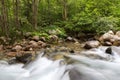 Water stream in forest