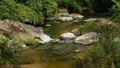 Water stream frothing on rocks in a river bank by the forest