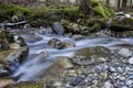 Water stream, Ilanovska valley, Low Tatras, Slovakia