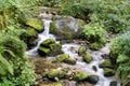 Water stream on mountain river, Dolomites Royalty Free Stock Photo