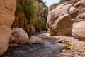 Water stream. Mountain river. Wadi Rum canyon, Jordan. Travel photography