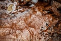 Water stream. With mud brown background Royalty Free Stock Photo