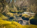 Water stream near Fecha de Barjas waterfall (Tahiti waterfall) in the mountains of Peneda-Geres National Park,