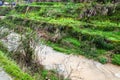 water stream near rice terraced fields in Dazhai Royalty Free Stock Photo