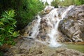 Water stream at rainforest of Malaysia Royalty Free Stock Photo