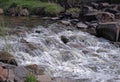 Water stream running over rocks. Cherry Creek in Denver