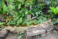 Water stream or Small waterfall decorate front yard - nature garden with plant tree flowers in the asian with a pond Royalty Free Stock Photo