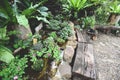 Water stream or Small waterfall decorate front yard - nature garden with plant tree flowers in the asian with a pond park Royalty Free Stock Photo