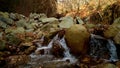 Water stream with small waterfalls in the river. Slovakia Royalty Free Stock Photo