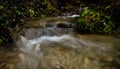 Water stream with small waterfalls in the river. Slovakia Royalty Free Stock Photo