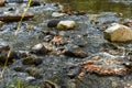 Water of the stream between the stones