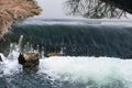 water stream in Yi river in spring Royalty Free Stock Photo