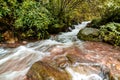 Water Streaming in himalayas - sainj, kullu, himachal, India