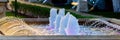 Water streams splashing in fountain Royalty Free Stock Photo