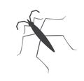 Water Strider Insect Silhouette