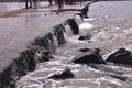 Water striking near a sea shore with white bubbles