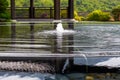 Water supply fountain in Japanese Buddhist garden at Tsz Shan Monastery in Hong Kong Royalty Free Stock Photo