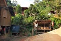 Water supply reservoir in a village of East Asia, in jungle