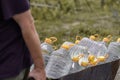 Water supply shortage and climate change threats. White male pulls a cart of plastic bottles filled with clean water from a public Royalty Free Stock Photo