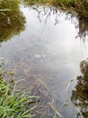 the water surface of the forest lake reflects the clouds Royalty Free Stock Photo
