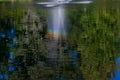 Trees reflection with rainbow and little waves, resting in the park Royalty Free Stock Photo