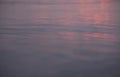 Water surface of gradient blue and pink color. River or sea water smooth background with small waves and sun glares Royalty Free Stock Photo