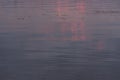 Water surface of gradient blue and pink color. River or sea water smooth background with small waves and sun glares Royalty Free Stock Photo