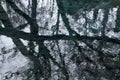 Water surface of the pond on a rainy day with sky and branches of leafless trees reflected in it Royalty Free Stock Photo