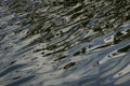 The water surface of the pond with soft playing reflections of the sky and plants.