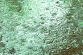 Water surface with rain texture - circles and bubbles texture