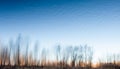 Water surface with the reflection of the leafless trees Royalty Free Stock Photo