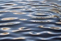 Water surface ripples from disturbance.AI Generated