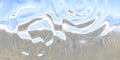 Water surface. Ripples effect. Panoramic illustration