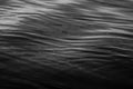 Black and White Rippled Water Royalty Free Stock Photo