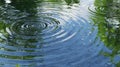 Rain Ripples on Water Surface, Reflections of Green Trees, Peaceful Nature Background Royalty Free Stock Photo