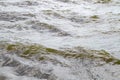 Water surface of sea with green waves in cloudy weather close-up