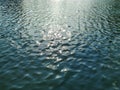 Water surface with small waves. The sunlight gives a gleam in the middle. The color of the pond is dark, slightly bluish