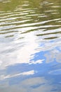 Water surface texture with ripples and vegetation Royalty Free Stock Photo