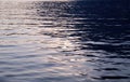 Water surface with wavelets with sunlight reflection Royalty Free Stock Photo
