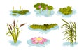 Water and Swamp Plants with Waterlily and Reed Vector Set