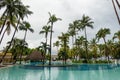 Water, swiiming pool near hotel in Havana, Cuba with palm tree Royalty Free Stock Photo