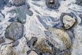Water swirling over rocks at the beach on the Pacific coast in Oregon, USA Royalty Free Stock Photo