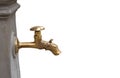 Water tap with dragon head Royalty Free Stock Photo