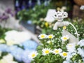 Water tap in Garden White flowers Summer Outdoor decoration Royalty Free Stock Photo