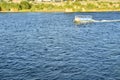 Water taxi on the Colorado River, Laughlin, Nevada, USA Royalty Free Stock Photo