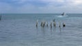 A water taxi departs Caye Caulker, Belize.