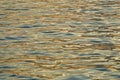 Water Texture Royalty Free Stock Photo