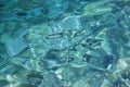 Water texture Royalty Free Stock Photo