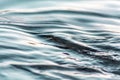 Water texture background close up Royalty Free Stock Photo