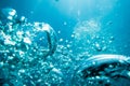 Water texture. Bubbles in underwater. Sun light in blue ocean. Royalty Free Stock Photo